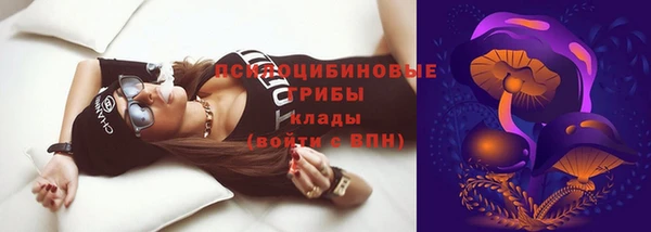 дурь Абинск