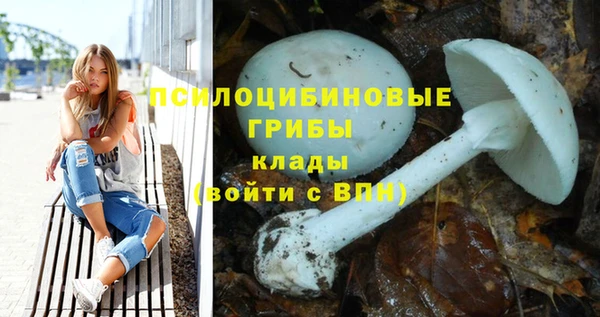 марки nbome Абаза