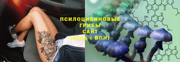 дурь Абинск