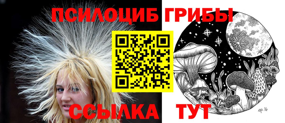 Псилоцибиновые грибы ЛСД Лабытнанги